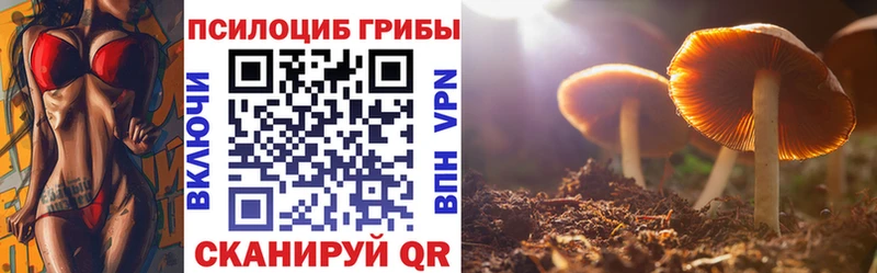 Галлюциногенные грибы Magic Shrooms  Трёхгорный 